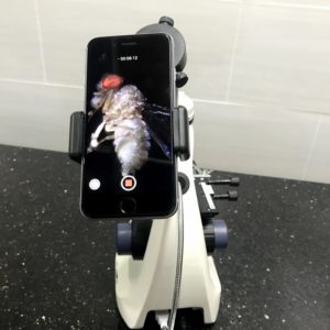 KÍNH HIỂN VI DMK-1846